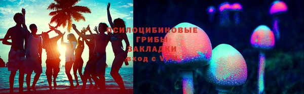 твердый Алексин