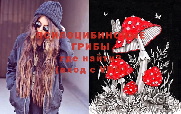 твердый Алексин