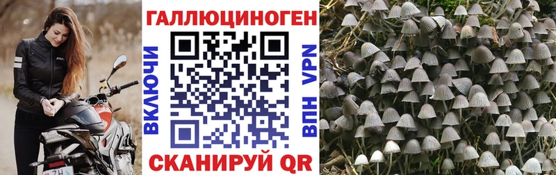 Галлюциногенные грибы мицелий  дарнет шоп  МЕГА ONION  Среднеколымск 